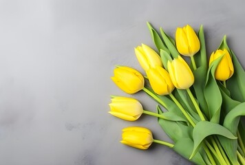 Yellow Tulips on Gray Concrete Background with Copy Space