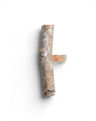 Birch Treet Twig