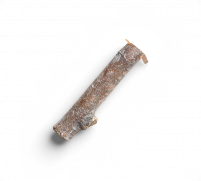 Clean Birch Branch Segment with Minimal Bark