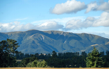 A beautiful countryside landscape view of fresh green meadow farmland and range of mountains under blue cloudy sky in the summer roadtrip, West Coast, South Island, New Zealand.
