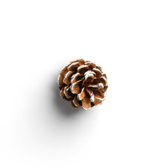 Decorative Pinecone with White Snowy Accents © Custom Scene