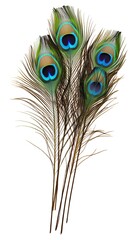 Naklejka premium Peacock Feather on White Background, Abstract Image, Texture, Pattern Background, Wallpaper, Cover and Screen of Smartphone, PC, Laptop, 9:16 and 16:9 Format