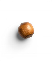 Isolated Hazelnut
