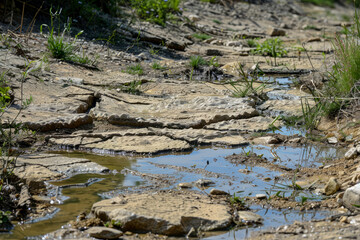 Drought dry land, low water, global warming