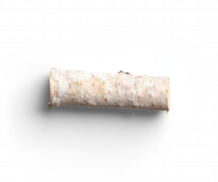 Minimalist Birch Wood Piece