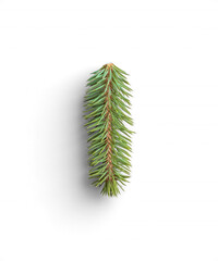 Natural Fir Branch for Winter Themes