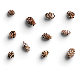 Pack of Small Pinecone with White Stains