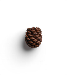 Pinecone 10