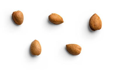Set of Almonds in Shell