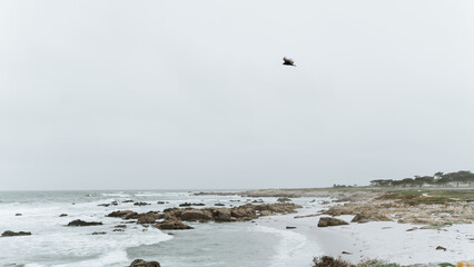 Carmel by the Sea