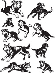 Black and white vector graphic of a dog in different poses, simple design with bold lines on white background