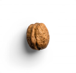 Single Walnut in Shell Isolated