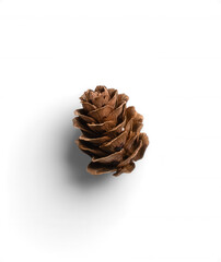Small Pine Cone 16