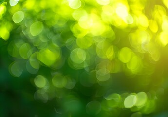 Obraz premium Abstract Green Bokeh Background with Sunlit Light