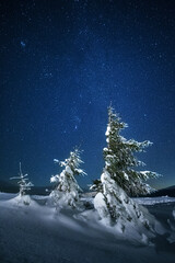 fabulous winter landscape in the mountains at night. Christmas tree under the night starry sky and the milky way