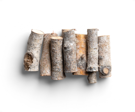 Stacked Birch Branches with Natural Gray and Brown Tones
