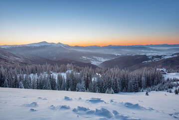 amazing mountain winter landscape with fir trees at dawn. natural Christmas background