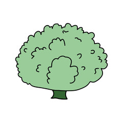 Shrub in doodle style. Vector isolated on white background