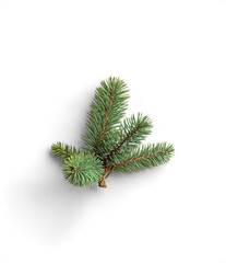 Top View of Evergreen Fir Branches for Themes