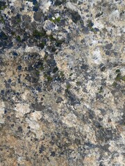 Natural wall rocks stone in a forest with liken. Background or digital use.