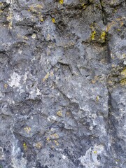 Natural wall rocks stone in a forest with liken. Background or digital use.