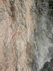 Natural wall rocks stone in a forest with liken. Background or digital use.