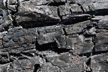 Wood abstract texture. Surface grunge backdrop. Dirty wooden effect pattern. Material background.