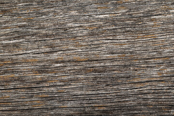 Wood abstract texture. Surface grunge backdrop. Dirty wooden effect pattern. Material background.