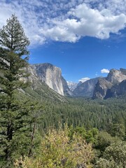 Obraz premium Yosemite National Park