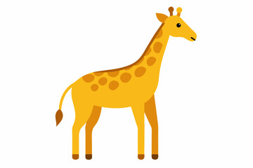 Fototapeta premium Giraffe vector art and illustration