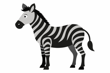 Zebra vector art and illustration