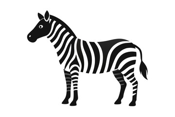 Zebra vector art and illustration