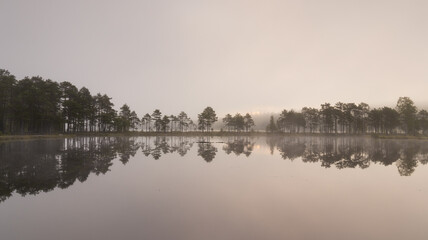 Swedish symmetry – row of trees and rising sun by the lake on a misty morning. Sweden, the land of trees and lakes. And also of peace and nature. Enjoying the nature and the tranquility