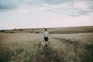 Obraz premium A boy of about seven with blond hair moves through a meadow with an Epagnol Breton dog against a background of grass and hills at sunset. Rear view. 