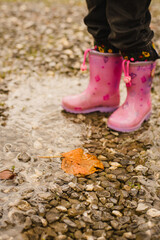 child walking in autumn park