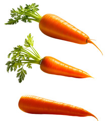 set of carrots png with transparent background