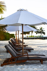 deck chairs lined up on a tropical beach