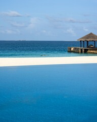 A grey heron flying over the beach by the resort pool