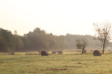 Obraz premium Beautiful sunrise on a meadow covered in fog and with hay bales. Beautiful sunrise meadow landscape scenery background. Mowed meadow with bales of hay in Czech republic 