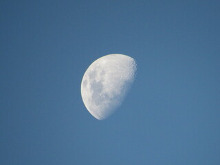 Moon in the daylight; Picture taken by a Canon PowerShot SX520 HS.