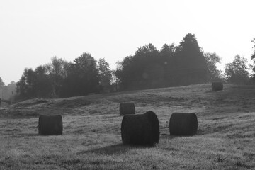 Obraz premium Beautiful sunrise on a meadow covered in fog and with hay bales. Beautiful sunrise meadow landscape scenery background. Mowed meadow with bales of hay in Czech republic 