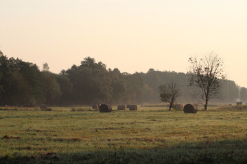 Obraz premium Beautiful sunrise on a meadow covered in fog and with hay bales. Beautiful sunrise meadow landscape scenery background. Mowed meadow with bales of hay in Czech republic 