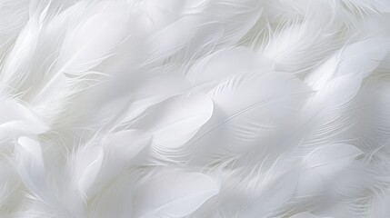 Obraz premium Closeup of white feathers background symbolizing peace, calm, spirituality, and hope in faith