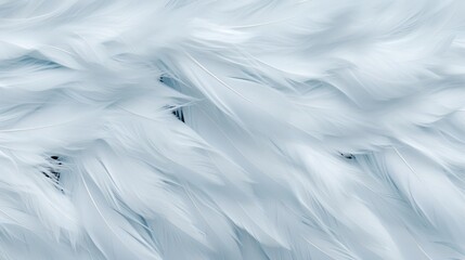 Fototapeta premium Close up of white feathers symbolizing peace, calm, and spirituality for faith and hope