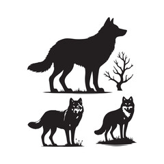 vector illustration wolf silhouette  on white background