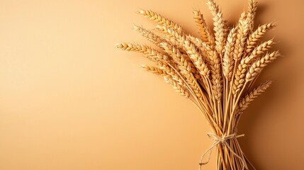 Dried wheat bunch tied with a string, warm beige background.