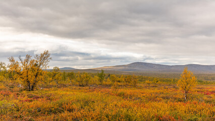 Autumn landscape in the Lapland mountains