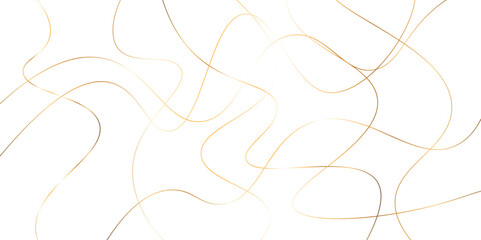 Random pattern colorful line stroke on a transparent background. Chaotic random lines abstract geometric pattern vector background. Decorative golden pattern with tangled curved lines.	