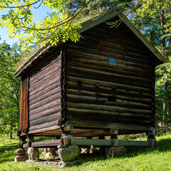 Viking Storage House