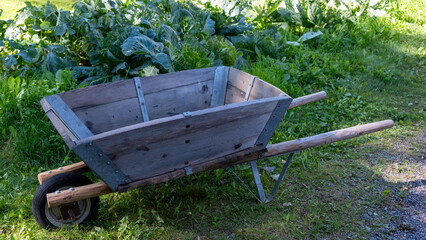 Viking Wheelbarrow in a Garden